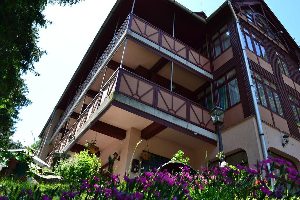 Ezuestfenyo Hotel Telkibanya Exterior photo